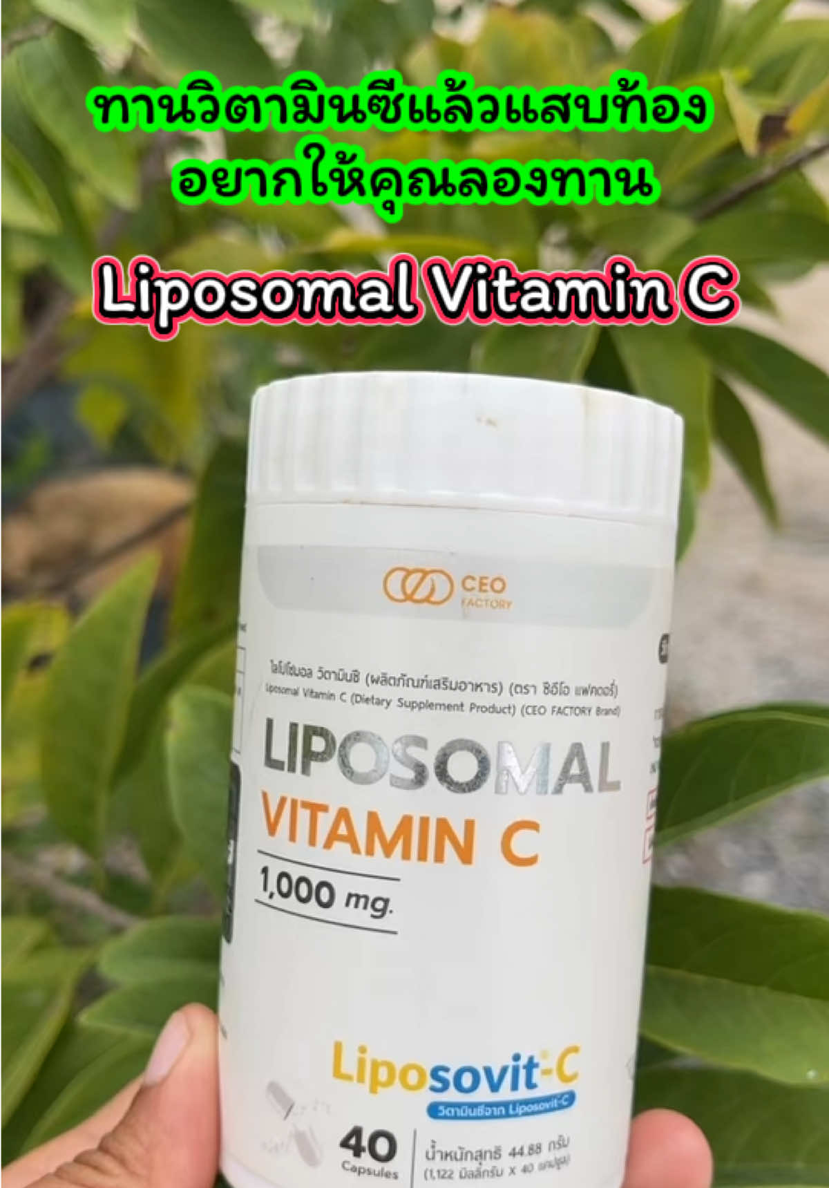 🍊 Liposomal Vitamin C (Liposovit-C) 🍊 💊 วิตามินซีรูปแบบใหม่ ดูดซึมดีกว่าวิตามินซีทั่วไป ✅ ทานแล้วไม่แสบท้อง ✅ ดูดซึมเข้าสู่เซลล์ด้วยเทคโนโลยี Liposomal ✅ เสริมภูมิคุ้มกัน ลดหวัดง่าย ฟื้นฟูร่างกายเร็ว ✅ วิตามินซีเข้มข้น 1,000 mg / เม็ด 📌 แนะนำ สำหรับคนที่เคยทานวิตามินซีทั่วไปแล้วแสบท้อง ต้องลองตัวนี้เลย! ⸻ #วิตามินซี #บำรุงสุขภาพ #เสริมภูมิคุ้มกัน#ของดีบอกต่อ #เจ้ฝนบอกพิกัด @เจ้ฝนบอกพิกัดของดี  @เจ้ฝนบอกพิกัดของดี  @เจ้ฝนบอกพิกัดของดี 