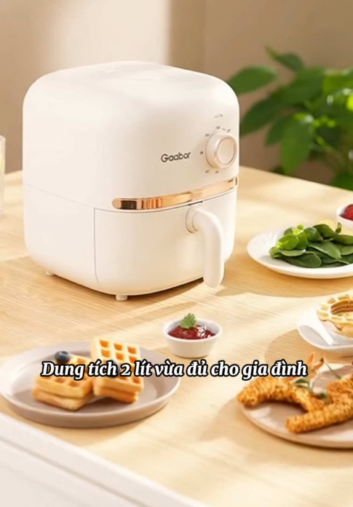 Nồi chiên không dầu này mà nhà ai cũng có thì đỡ cực ghê 😍 #noichienkhongdau #gaabor #giadungtienich #giadungthongminh #xuhuong 