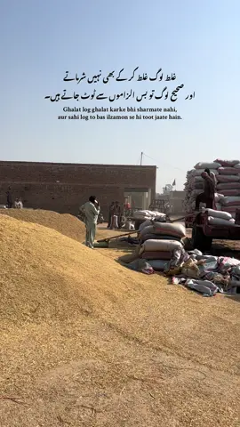 LINES 💔 #fyp #villagevibes #videography #unfrezzmyaccount #growmyaccount 