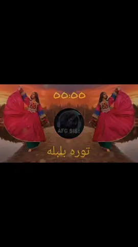 🎧 توره بلبله 🎧 #پشتوسندره #foryou #afghan #pashto #viral 