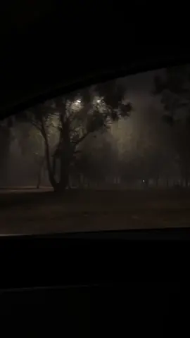 جيمس الشهري #silenthill #النماص #ممشى_الضباب #ضباب #سايلنت_هيل