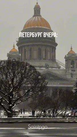 Зимняя сказка столкнулась с суровой петербургской реальностью 😁 Снег уже тает, ветер пробирает до костей, а ботинки предательски наполнились водой. Успели хоть немного насладиться зимним днём?