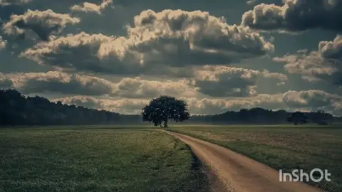 #القران_الكريم_راحه_نفسية😍🕋 #قران_كريم #تصميم_فيديوهات🎶🎤🎬 #الشعب_الصيني_ماله_حل😂😂 