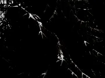 с наступающим новым годом ' #viwienna #taehyung #jungkook #taekook 