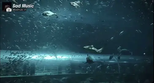 Đôi khi gia đình cũng chính là nơi lạnh lẽo nhất… #buon_tam_trang #buon #tamtrang #fyp #xuhuong 