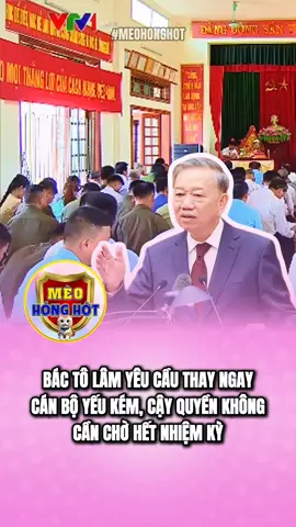 #meohonghot #xuhuong #chinhtri #doisong #tintuc24h 