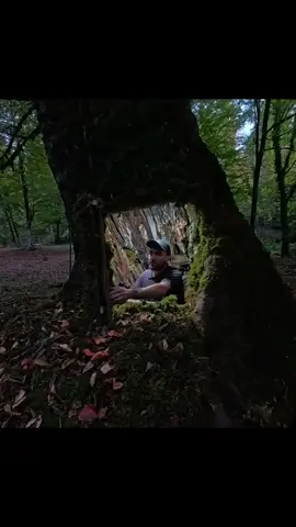 Building a Secret Underground Shelter Deep lnside Big Oak Tree,bushcraf化, survival#camping #survival #shelter #forest 