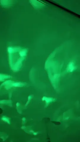 A blessed Sunday!  #sunday #familytime  #domingo  #familia  #minivlog 