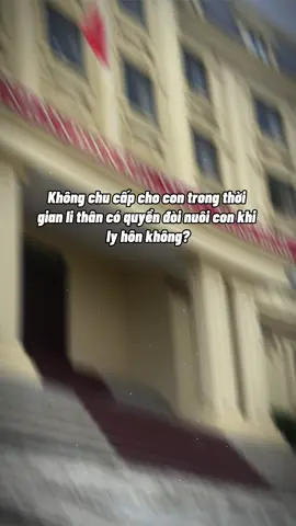 ⚖️ Theo luật: Bỏ mặc con, không chu cấp nhiều năm → không đủ điều kiện để giành quyền nuôi con. Tòa luôn ưu tiên người trực tiếp chăm sóc con ổn định. #xuhuong #thutuclyhon #lyhon 