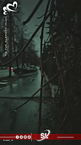 😎🔥..📝💌 . . . #fypシ゚ #مجاجي_راح_يهبلنا_بغناه😂  #capcut #تصميم_فيديوهات🎶🎤🎬 #كلام_من_ذهب @Cheb Ali Mdjadji oficiel 