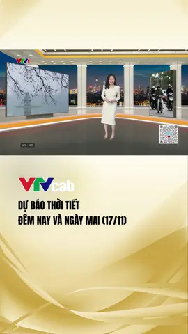 #dubaothoitiet đêm nay, ngày mai (17/11/2025)#vtvcabthoitiet#vtvcab#tiktoknews#thoitiet#thoitiethomnay#vtvprime