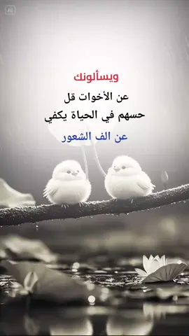 الاخوات نعمه من الله خواتي#اكسبلورexplore #اكسبلووووورررر #دعاء♡الخير #متابعه_ولايك_واكسبلور_فضلا_ليس_امر 