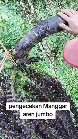 #penyadaparen💪💪💪 