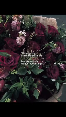 #_nqt_08th05 #ddnxuhuong 