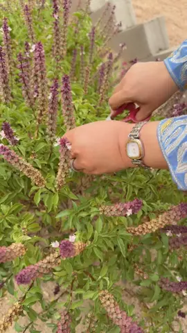 #كسبلورررررررررررررررررررررررررر #كسبلورررررررررررررررررررررررررر #كسبلورررررررررررررررررررررررررر 