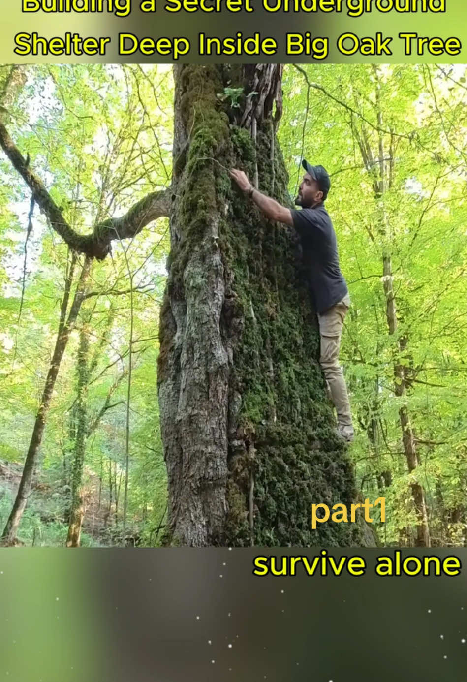 #survival #building #survivalskill #camp #camping #bushcraft #bamboo #survivealone #part1      Building a secret underground shelter deep inside big tree