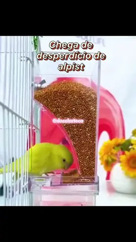 Alimentador de Pássaros Portátil em Acrílico  Mantenha a gaiola sempre organizada e facilite a alimentação dos seus pássaros! Com design moderno, resistente e super prático de instalar, ele garante mais higiene e comodidade no dia a dia. Ideal para todos os tipos de aves! 🐦💛 LINK NOS MEUS COMENTÁRIOS🐣 •COPIE E COLE NO SEU NAVEGADOR• #Pássaros #Gaiola #AlimentadorAcrílico #AcessóriosParaAves #PetShop    