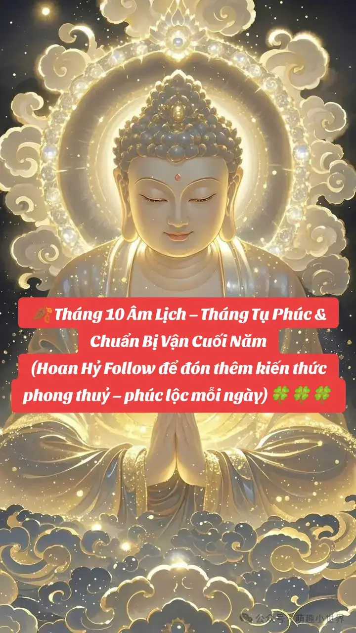 🍂 Tháng 10 Âm Lịch – Tháng Tụ Phúc & Chuẩn Bị Vận Cuối Năm (Hoan Hỷ Follow để đón thêm kiến thức phong thuỷ – phúc lộc mỗi ngày) Trong dân gian, tháng 10 âm lịch là tháng thu – đông giao mùa, thời điểm năng lượng chuyển từ thu gom – tích luỹ sang dưỡng khí – tĩnh tâm để đợi mùa mới. Người xưa coi đây là tháng: Tụ phúc – dưỡng gốc – ổn định nội lực để chuẩn bị bước vào tháng chạp nhiều biến động. ✅ Những điều nên làm 1. Ổn định tâm – dưỡng khí – thu mình mà mạnh lên Tháng này không phải thời điểm “bung hết lực”, mà là tạo sự vững vàng bên trong. ✔ Ngồi thiền, đọc sách, viết kế hoạch ✔ Giảm giao động cảm xúc – giữ tâm bình hòa ✔ Tránh chạy theo sốt nóng, trào lưu, thị phi Người tĩnh thì vận tự đến. Người vội thì phúc tan. 2. Rà soát lại những việc chưa hoàn thành Dân gian gọi là “dọn nghiệp việc” – hoàn tất dang dở trước khi bước sang vận mới. ✔ Hoàn tất mục tiêu còn thiếu ✔ Thu gọn kế hoạch năm ✔ Chốt các công việc quan trọng Đầu năm gieo, cuối năm gặt. Tháng 10 là nhặt hạt còn sót. 3. Thanh tẩy không gian sống Cuối thu đầu đông, khí lạnh nặng hơn → cần kích sáng – tăng dương khí. ✔ Xông nhà, đốt trầm, mở cửa lấy nắng ✔ Lau dọn bàn thờ, không gian tâm linh ✔ Đặt thêm đèn vàng ấm, muối phong thuỷ ở góc tài lộc Nhà sạch – tâm sáng – lộc tự thông. 4. Ưu tiên màu nuôi dưỡng năng lượng Tháng này thuộc trường khí Thổ – Kim chuyển giao Hợp nhất với các màu: ⭐ Nâu – vàng đất → ổn định, vững nền ⭐ Đỏ trầm – cam đất → nuôi sinh khí, giữ hơi ấm ⭐ Trắng – ánh kim → làm sạch khí trường Tháng dưỡng gốc, không phải khoe sắc. 5. Tăng hoạt động công đức – nhân nghĩa Cuối năm là thời điểm tích phúc mạnh nhất. ✔ Giúp cha mẹ, gia đình ✔ Chia sẻ, làm từ thiện ✔ Tha thứ, buông chấp Tháng tích phước thì năm tới hanh thông. ❌ Những điều không nên làm 1. Không nóng nảy – cực đoan – phản ứng mạnh Giao mùa dễ khiến cảm xúc “đổi khí” → dễ xung đột. ✘ Tranh cãi ✘ Đố kỵ ✘ Nói lời tổn thương người khác Một câu làm tổn phúc, một niệm thiện cứu vận. 2. Tránh đầu tư mạo hiểm – quyết định gấp Tháng tĩnh, nên giữ vốn – giữ sức – giữ tâm. ✘ Không vay mượn lớn ✘ Không lao vào đầu tư không rõ ràng ✘ Hạn chế khởi sự hấp tấp Giữ vững, đợi đúng thời – lộc sẽ dễ sinh. 3. Không để nhà cửa lạnh khí – bừa bộn Tháng này khí lạnh dễ “đọng” → nghẽn tài – nghẽn vận. ✘ Góc tối ✘ Phòng ngủ ẩm, thiếu sáng ✘ Bàn thờ bụi Nhà lạnh thì vận chậm – nhà sáng thì tâm sáng. 🌱 Kết tinh năng lượng tháng 10 âm lịch Tháng này dành cho: Dưỡng thân – Dưỡng tâm – Dưỡng phúc Ổn định nội lực Thu xếp chu toàn Nối lại năng lượng gia đình – tổ tiên Chuẩn bị sẵn khí để bước vào tháng 11 – 12 tăng tốc Tháng tĩnh để năm động. Người biết dừng đúng lúc mới đi xa.