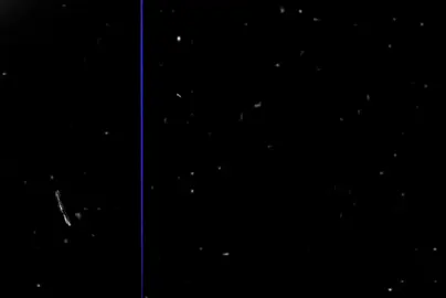 الحشيش دا اجمل نبات خلقه ربنا 😂😂💋🥀🥀🥀😉                                                        #saad #mohamed_elboray #حزين #حالات_واتس2021 #حالات_واتس_حزينه💔 