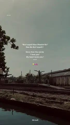 දන්නවද ළමයෝ ඒක ? 😩💗🫀 mention your favorite person ලස්සන quotes බලන්න පේජ් එක follow කරලා තියා ගන්න ලමයෝ 🌝💗 #netuwa_page #shehannethmina #shehaaan__ #sithu_page 