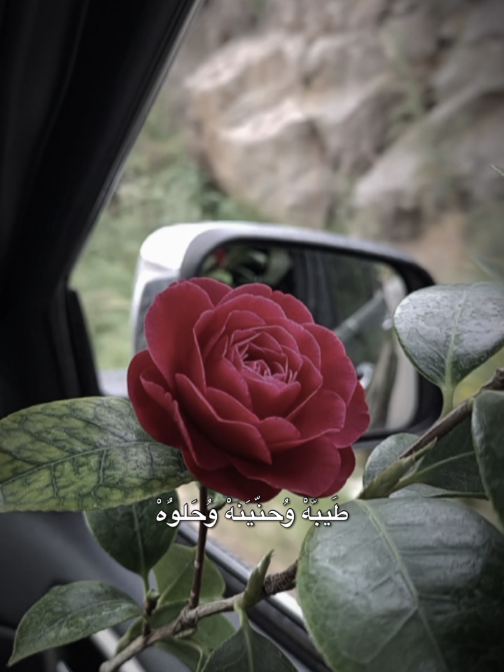 #CapCut #كاظم_الساهر  #نزار_قباني #reel #lavendr81 