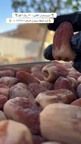 #نجران911 #ثمار_الحلفاء_البلد #السعودية🇸🇦 #مشاهير_تيك_توك #نجران 