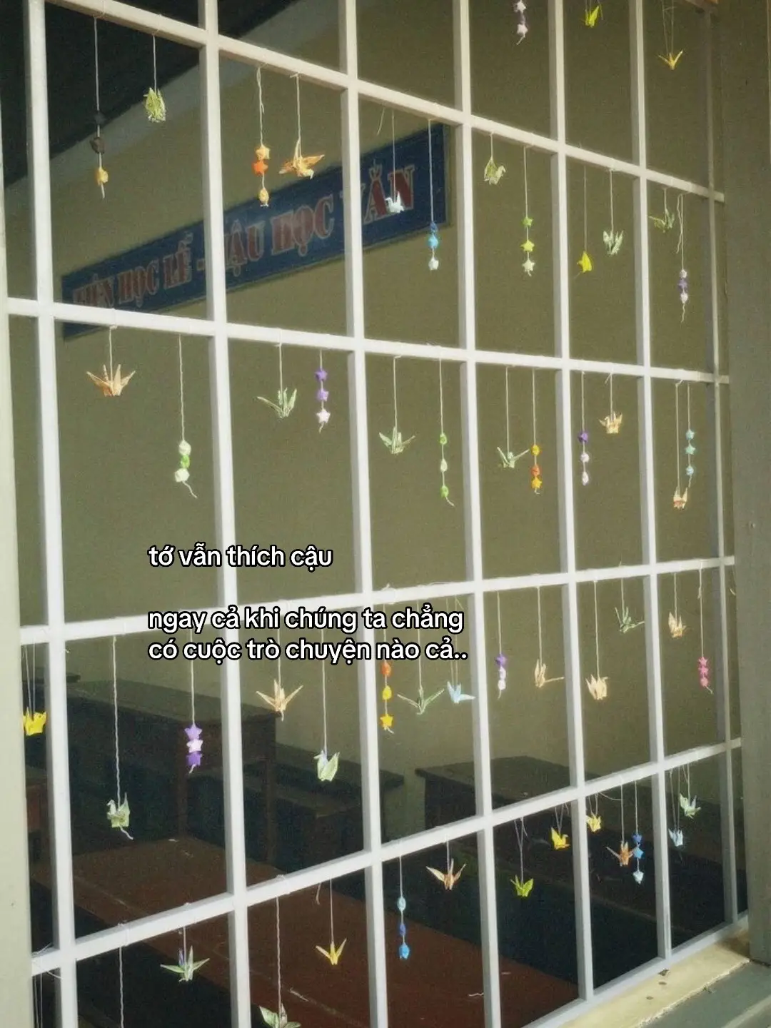 #xuhuong #xuhuongtiktok #viral #foryou #fyp 