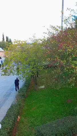 #Gebza #داريجا💗 #تركيا🇹🇷اسطنبول 