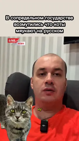 In einem Nachbarstaat empörte man sich darüber, dass Katzen auf Russisch miauten