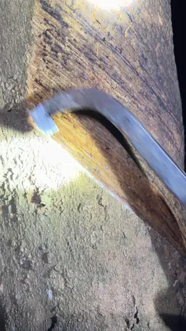 ไหลดีแบบนี้ก็ชื่นใจ 🥰 #กรีดยาง 🌳#rubber #ยางก้อนถ้วย #บึงกาฬ 