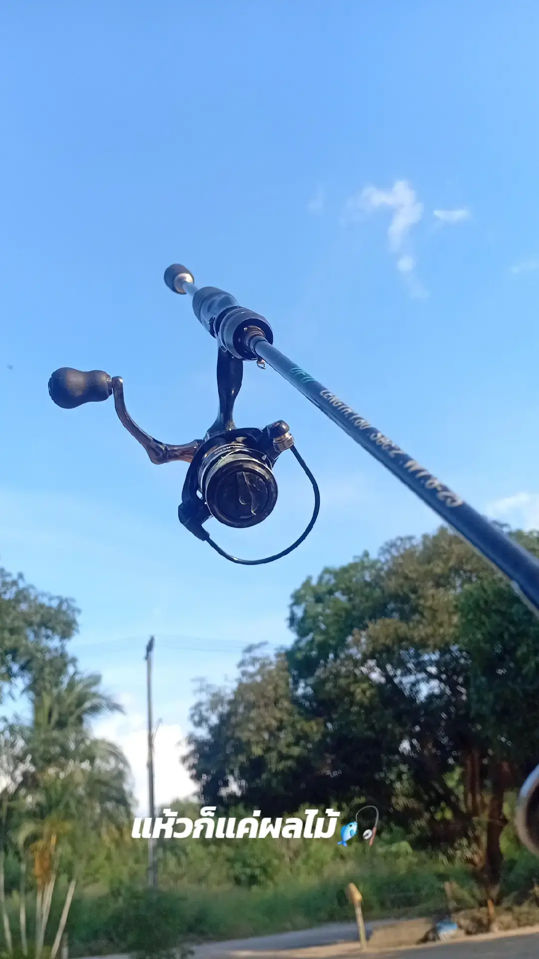 #เทรดวันนี้ #tiktok #ตกปลาช่อนข้างทาง #ตกปลาช่อนข้างทาง 