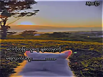 #ငါကိုကအရှက်မရှိတာပါကွ #ဒီချိန်တင်လို့viewတက်ပါ့မလား #စာသားcrdပေးပါတယ်နော်😗 #View #မတက်လို့ #ကူညီပါအုံးဗျာ 
