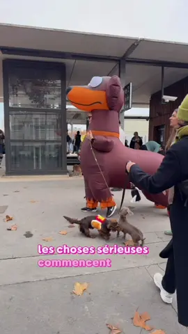 #parissausagewalk #marchedesteckels #teckels #paris #sausagewalk 