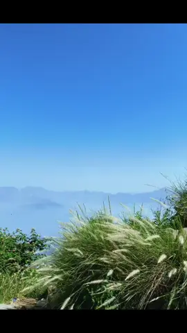 ##kaliwal mahol# #🍒🍒🍒🍒🍒🍒🍒🍒🍒🍒🍒🍒 #🥰🥰🥰🥰🥰🥰 ##🍒🍒🍒🍒🍒🍒🍒🍒🍒🍒🍒🍒 