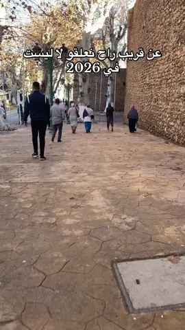 @arbi klo #شعب_الصيني_ماله_حل😂😂 #تلمسان #تونس_المغرب_الجزائر #شعب_الصيني_ماله #fyn 