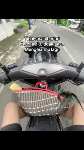 Wkwkwk#ayambangkoksuper #pakhoy #ardn_farm #bkselatan #fyppppppppppppppppppppppp 