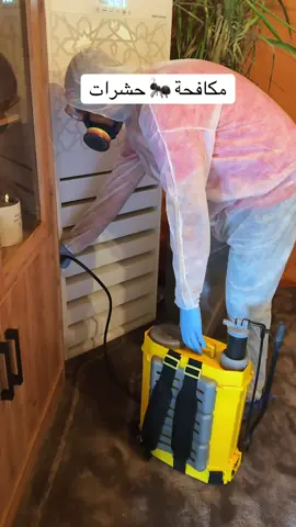 مكافحة حشرات بالرياض#مكافحة_الحشرات_المنزليه_والمنشأت #مكافحة_الحشرات_بالرياض #رش_مبيدات_مكافحه_الحشرات #رش_مبيدات #تنظيف_قصور_بالرياض 