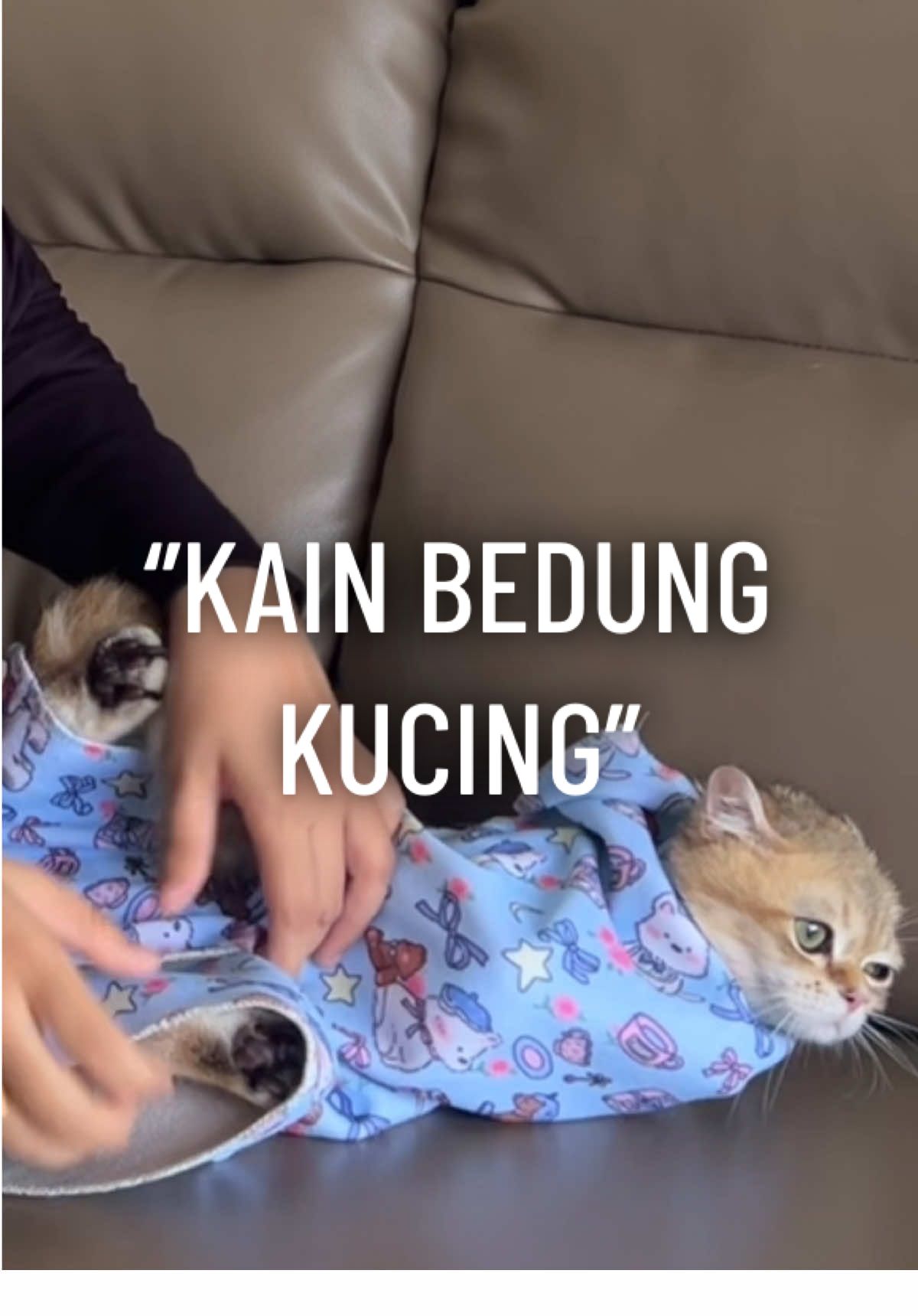 Yang pernah ada masalah fungus kat anal bulus boleh tolong takkk??? Hmm