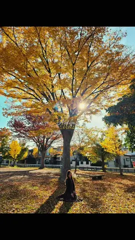 Autumn🌼🍂🍁@leafoppa 