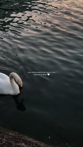 #rappels_islam #alhamdullilah #islam #dhikr #lesson #vie #citations #pourtoi #fyp #fffffffffffyyyyyyyyyyypppppppppppp 