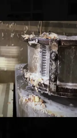 you need to try Indian Street food at least once in your life 