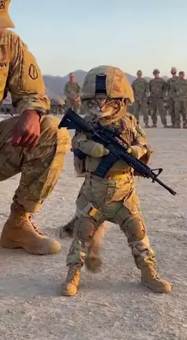 LIKE FOR NEW VIDEOS#sora2 #fyp