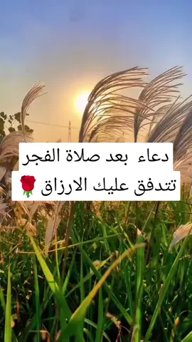 #المؤمنه_بالله🇱🇾 #مقاطع_دينية #ادعيه_واذكار 