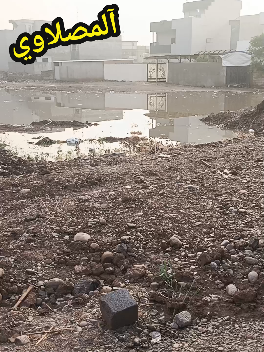 #اكسبلور#اكسبلورexplore#ترند #الشعب_الصيني_ماله_حل😂😂 #لايك 