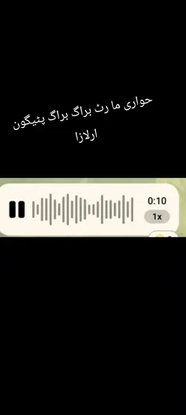 @Garwida تانڑیوال📌 @🇦🇫شاھین  وزیر @🚬کوچی لالا🚬 @bewafa.janan66 @♥️❣️✌️✌️❤گل گل @🦅🥀منتظير تنگي وال اشنا🦅🥀 @nazirdogwal @دلکش ڈوگوال #WhatToWatch #music #pakostan #voice #foryou 