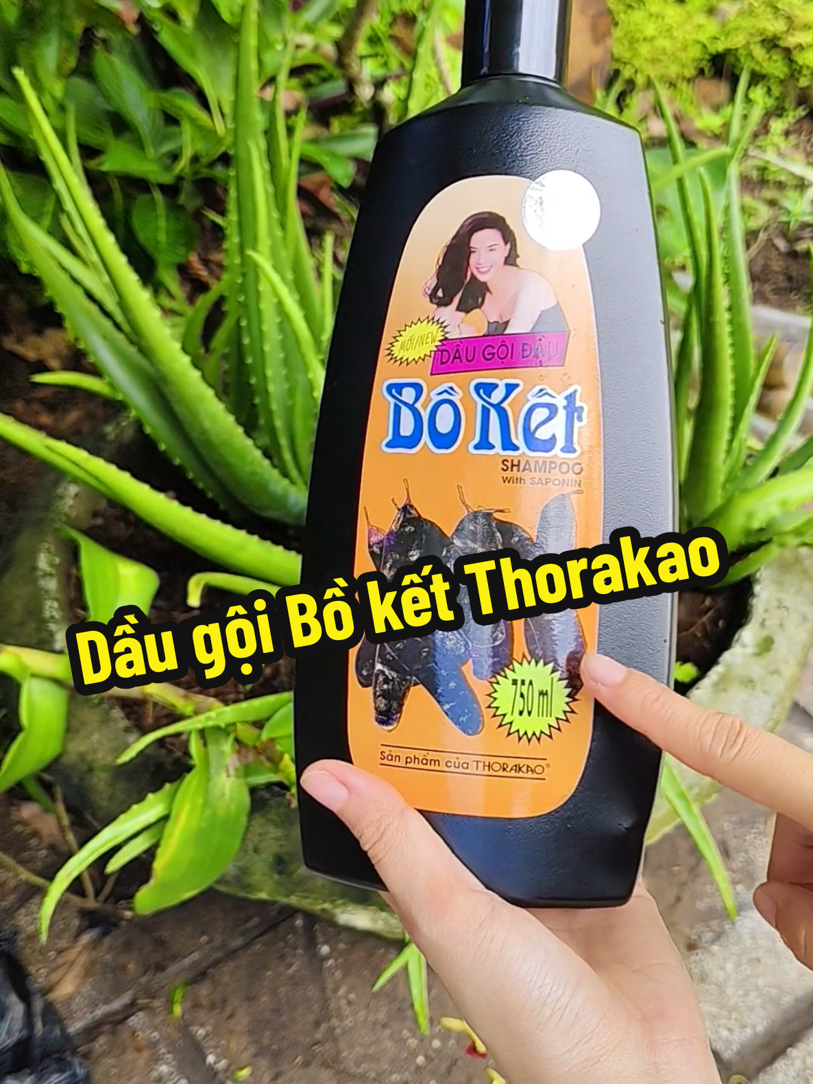 Dầu gội Bồ kết Thorakao chai to tới 750ml #daugoi #daugoiboket #daugoithaoduoc #daugoitrigau #nhikhenhreview 