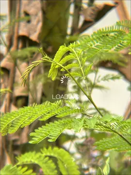 Satu fotomu aja udah cukup 