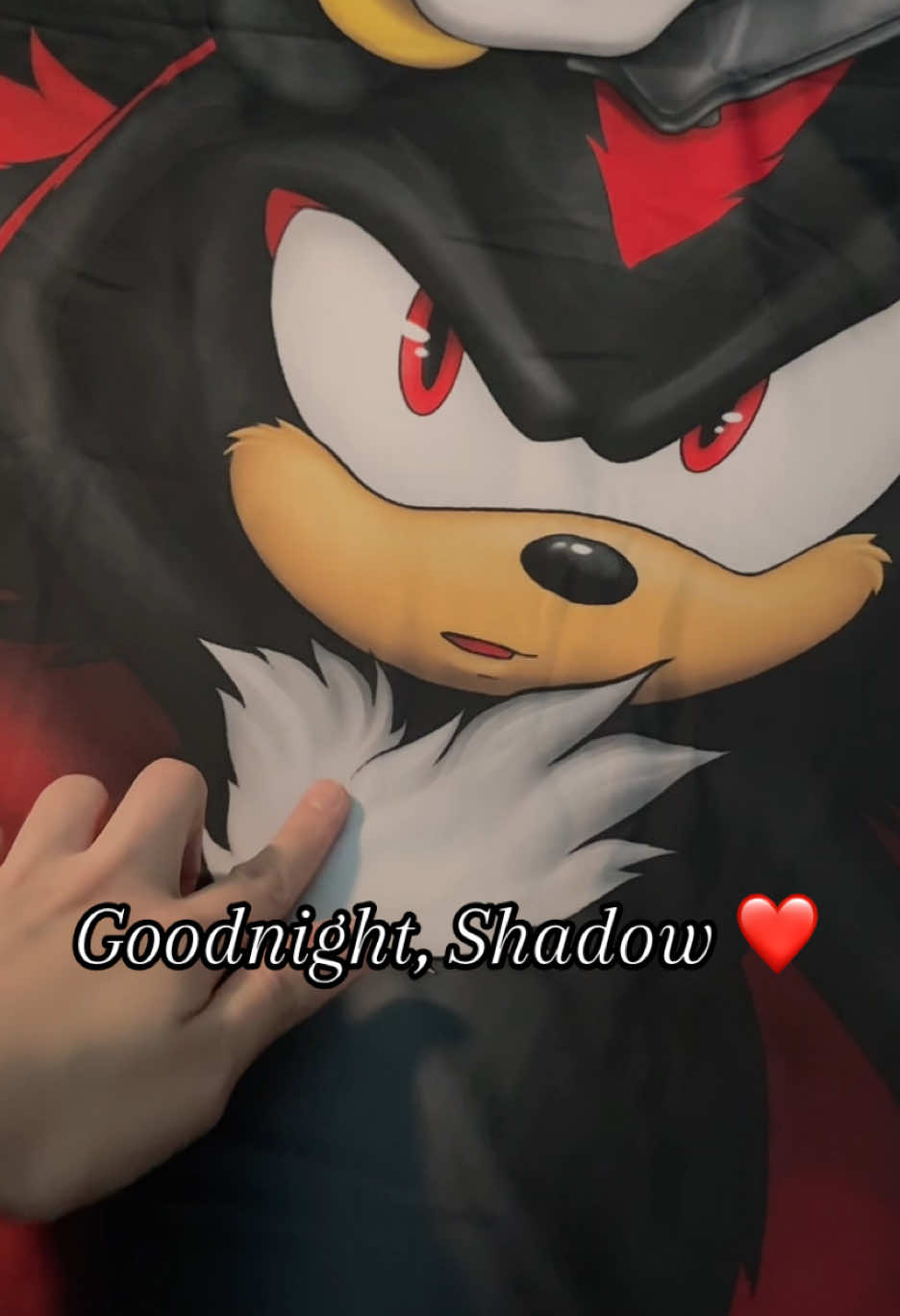 Her favourite might be Shadow the Hedgehog... (Shadow body pillow by saiyanhajime ! He has a Sonic, Rouge and Werehog one too) #sonic #sonicthehedgehog #collection #toys #game 
