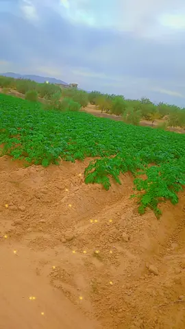 #الحمدلله_دائماً_وابداً#ترند_تيك_توك#wabisabi #blackfridaydeals 