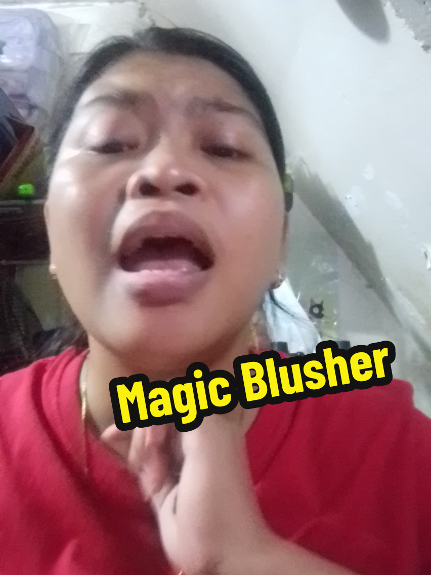 #tiktokfinds #musthave #magicblusher #fyp #affiliate 